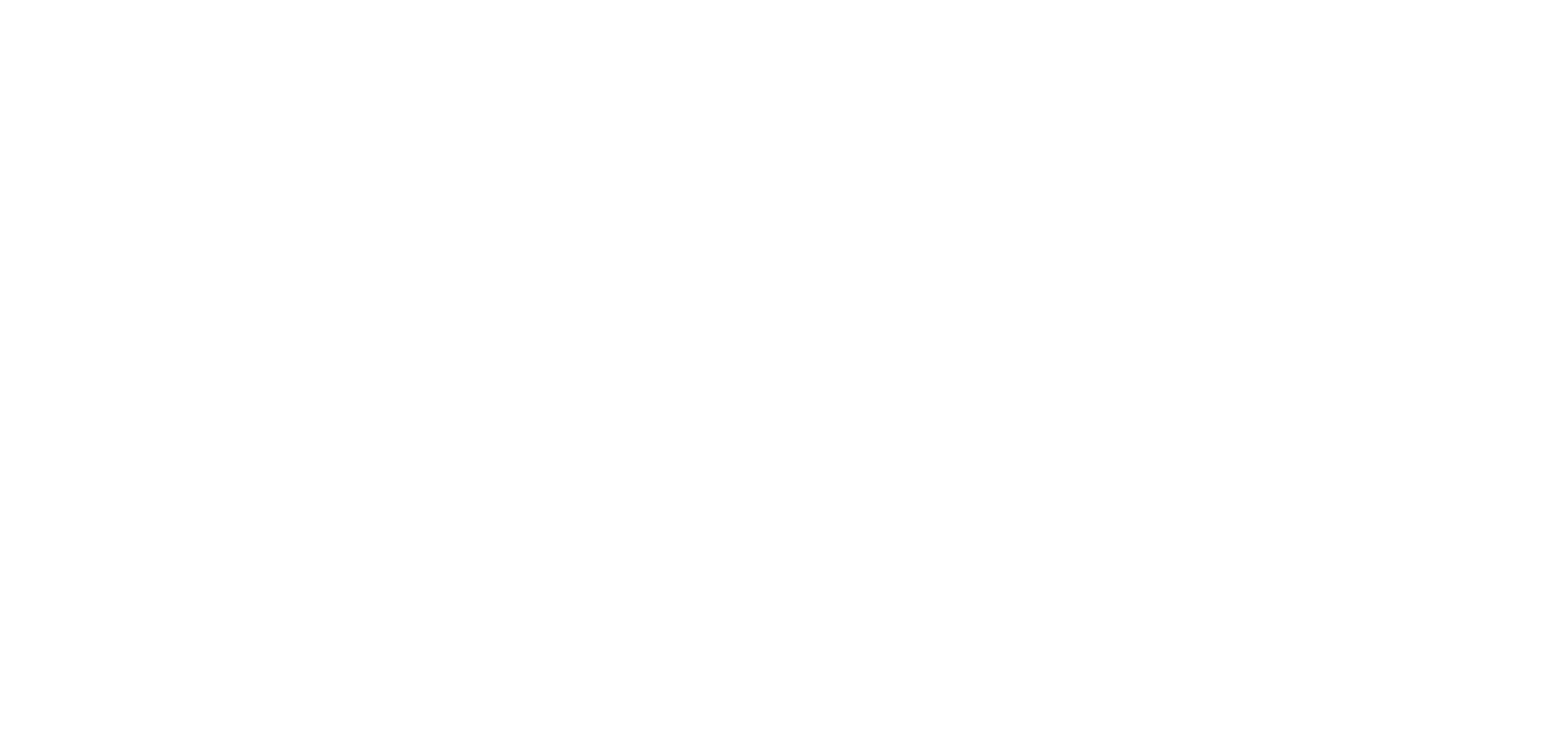 Robellini Construction